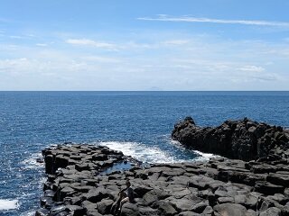 PXL_20260818_012526816.jpg