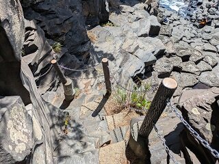 PXL_20260818_012606286.jpg