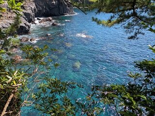 PXL_20260818_012705198.jpg