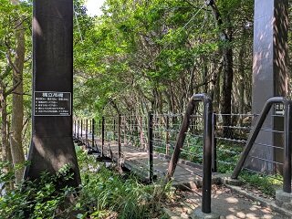 PXL_20260818_013010449.jpg