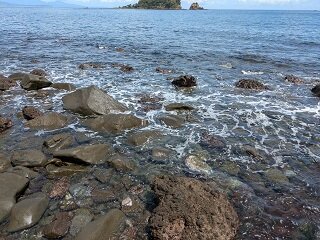 PXL_20260818_022313879.jpg