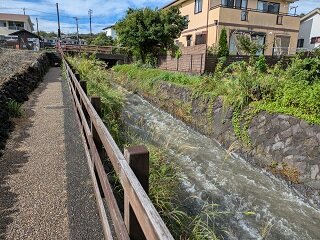 PXL_20260928_050435264.jpg