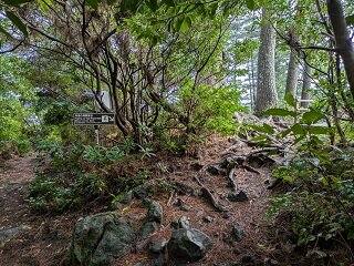 PXL_20260928_051205766.jpg