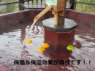 daidaiyu C.JPG