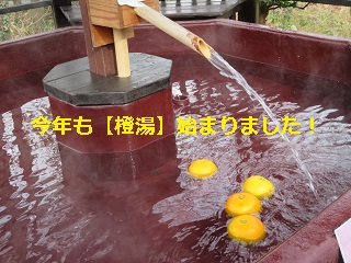 daidaiyuB.JPG