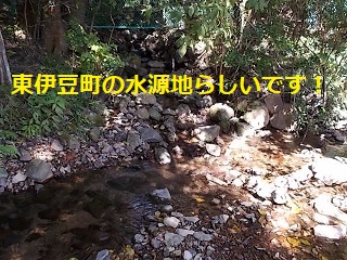 hosono7.JPG