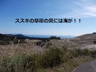 hosono9.JPG