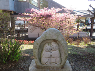 sakura.8_2.jpg