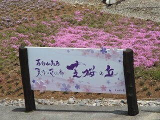 DSCN5710.JPG