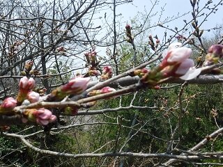 DSCF7051.JPG