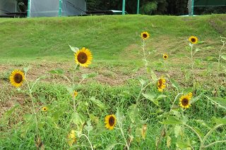 IMG_4827.JPG