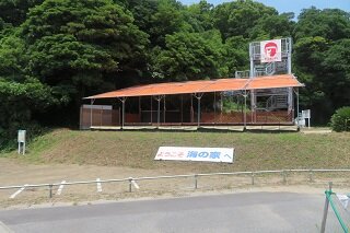 IMG_8109.JPG
