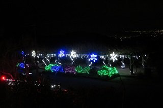 IMG_3787.JPG