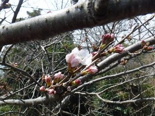 DSCF7049.JPG