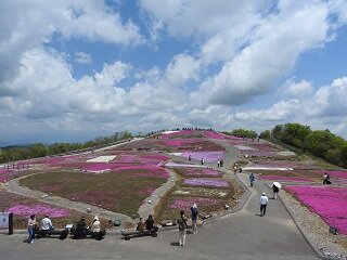 DSCN5707.JPG