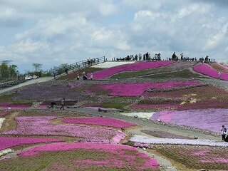 DSCN5711.JPG