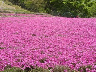 DSCN5712.JPG