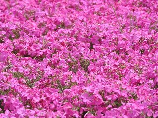 DSCN5713.JPG