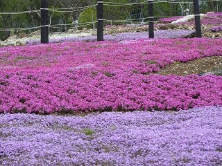 DSCN5714.JPG