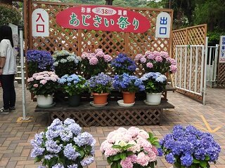 DSCN5722.JPG