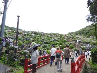 DSCN5727.JPG