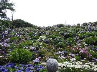 DSCN5731.JPG