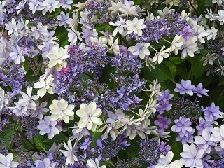 DSCN5789.JPG