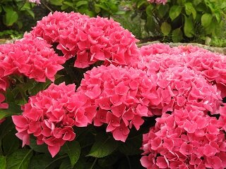 DSCN5801.JPG
