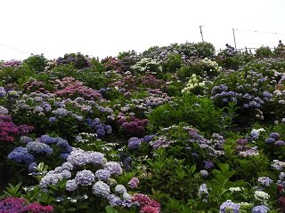 DSCN5839.JPG