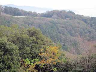 IMG_3588_2.jpg
