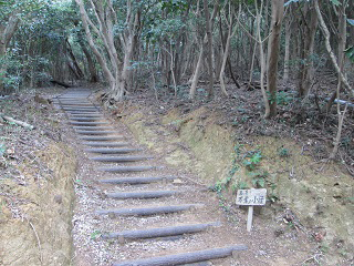 IMG_3789_2.jpg