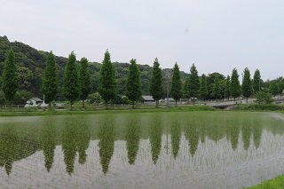 IMG_4527.JPG