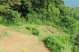 IMG_4859.JPG