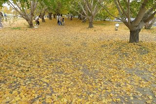 IMG_5642.JPG
