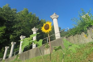 IMG_6708.JPG