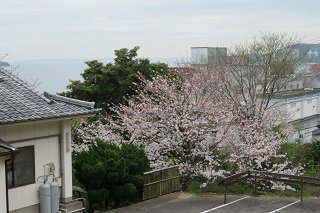 IMG_7429.JPG