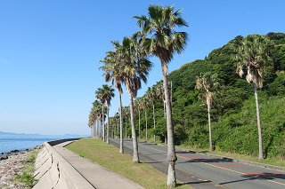 IMG_7505.JPG