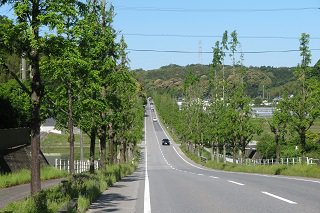 IMG_7513.JPG