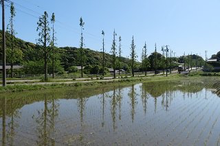 IMG_7516.JPG