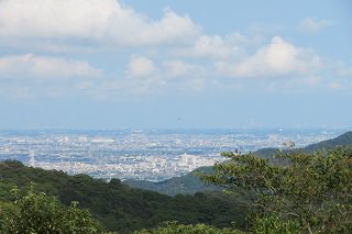 IMG_7726.JPG