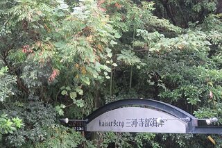 IMG_7797.JPG