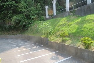 IMG_8147.JPG