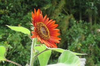 IMG_8166.JPG