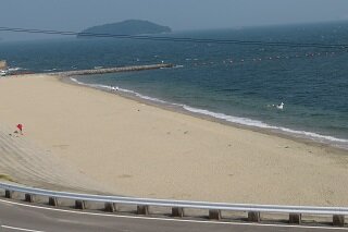 IMG_8223.JPG
