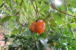 IMG_8328.JPG