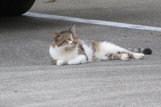 IMG_8408.JPG