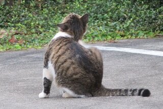 IMG_8414.JPG