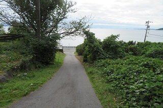 IMG_8431.JPG
