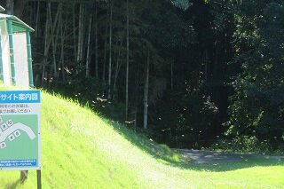 IMG_9188.JPG