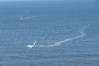 IMG_9198.JPG